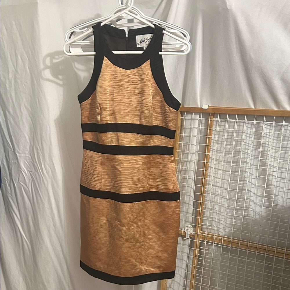 Gold and Black Mini Dress